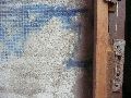 324 Eindrücke vom Freiraum Elbtal