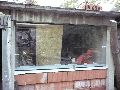324 Eindrücke vom Freiraum Elbtal