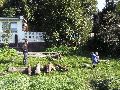 324 Eindrücke vom Freiraum Elbtal