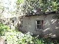 324 Eindrücke vom Freiraum Elbtal