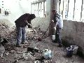 324 Eindrücke vom Freiraum Elbtal
