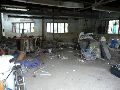 324 Eindrücke vom Freiraum Elbtal