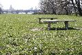 Spaziergang in der Johannstadt
