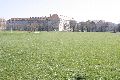 Spaziergang in der Johannstadt
