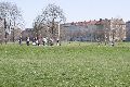 Spaziergang in der Johannstadt