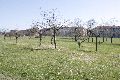 Spaziergang in der Johannstadt