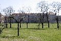 Spaziergang in der Johannstadt