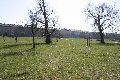 Spaziergang in der Johannstadt