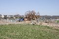 Spaziergang in der Johannstadt