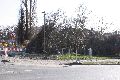 Spaziergang in der Johannstadt