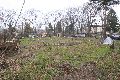 Spaziergang in der Johannstadt