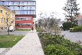 Spaziergang in der Johannstadt