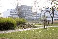 Spaziergang in der Johannstadt
