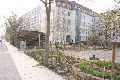 Spaziergang in der Johannstadt