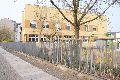 Spaziergang in der Johannstadt