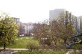 Spaziergang in der Johannstadt