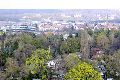 Spaziergang in der Johannstadt