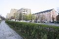 Spaziergang in der Johannstadt