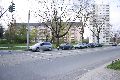Spaziergang in der Johannstadt