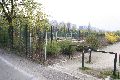 Spaziergang in der Johannstadt