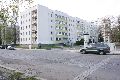 Spaziergang in der Johannstadt