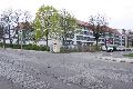 Spaziergang in der Johannstadt