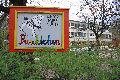 Spaziergang in der Johannstadt