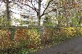 Spaziergang in der Johannstadt