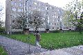 Spaziergang in der Johannstadt