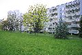 Spaziergang in der Johannstadt
