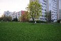 Spaziergang in der Johannstadt