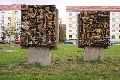 Spaziergang in der Johannstadt