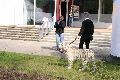 Spaziergang in der Johannstadt