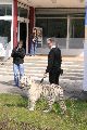 Spaziergang in der Johannstadt