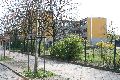 Spaziergang in der Johannstadt