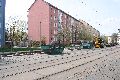 Spaziergang in der Johannstadt