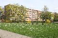 Spaziergang in der Johannstadt