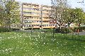 Spaziergang in der Johannstadt