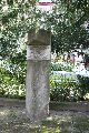 Spaziergang in der Johannstadt