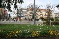 Spaziergang in der Johannstadt