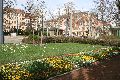 Spaziergang in der Johannstadt