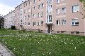Spaziergang in der Johannstadt