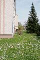 Spaziergang in der Johannstadt
