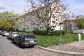 Spaziergang in der Johannstadt