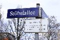 Spaziergang in der Johannstadt