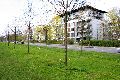 Spaziergang in der Johannstadt
