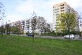 Spaziergang in der Johannstadt