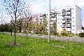 Spaziergang in der Johannstadt