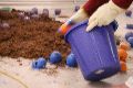 Kalaschnikow Performance, Orpheum Bilderball, Kamenzer Str.