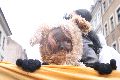 Rosenmontagumzug inspired by Pawlow